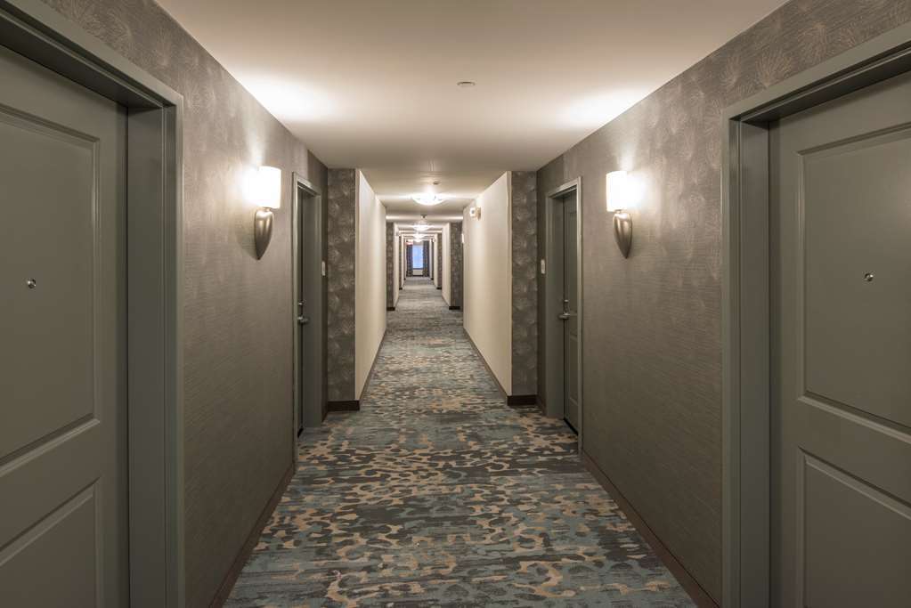 Hilton Garden Inn Mount Holly/Westampton Interiør billede